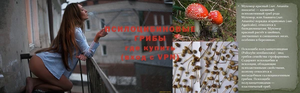 марки nbome Арсеньев