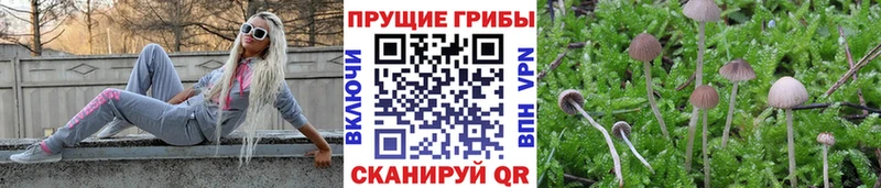 Галлюциногенные грибы ЛСД  как найти   Уварово 